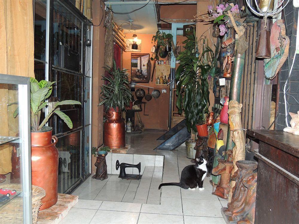Hostal Del Este Santa Fe San José Eksteriør billede